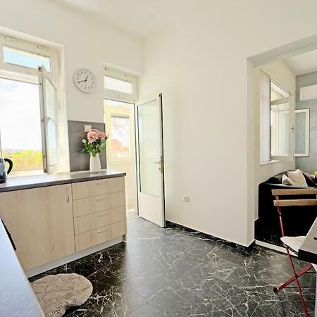 Cozy 1-Bedroom Flat In The Very Center Of 索菲亞 外观 照片