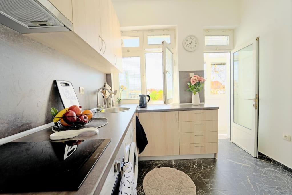 Cozy 1-Bedroom Flat In The Very Center Of 索菲亞 外观 照片