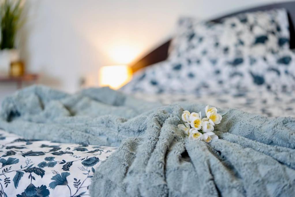 Cozy 1-Bedroom Flat In The Very Center Of 索菲亞 外观 照片
