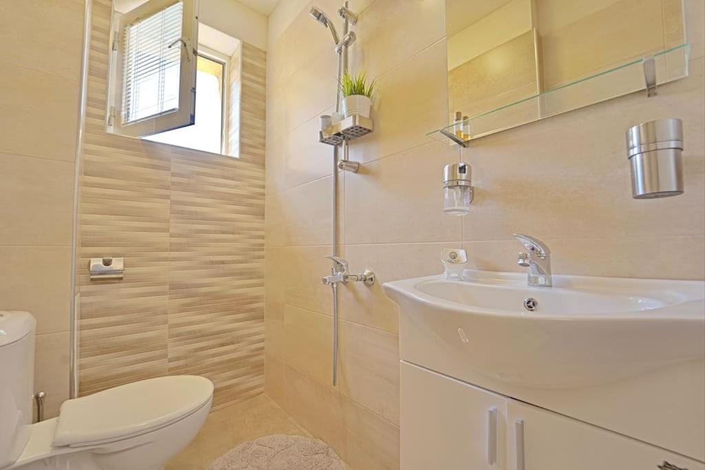Cozy 1-Bedroom Flat In The Very Center Of 索菲亞 外观 照片